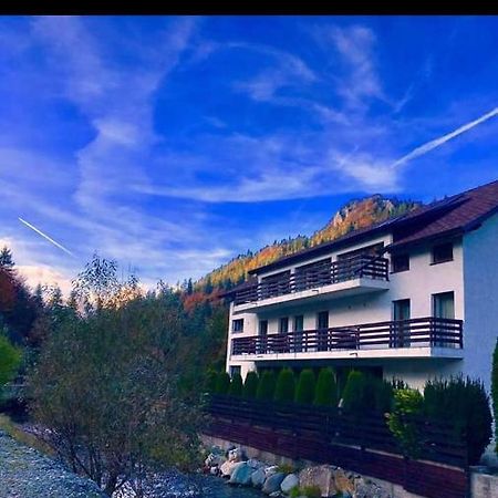 House Of River Moeciu De Sus Bagian luar foto